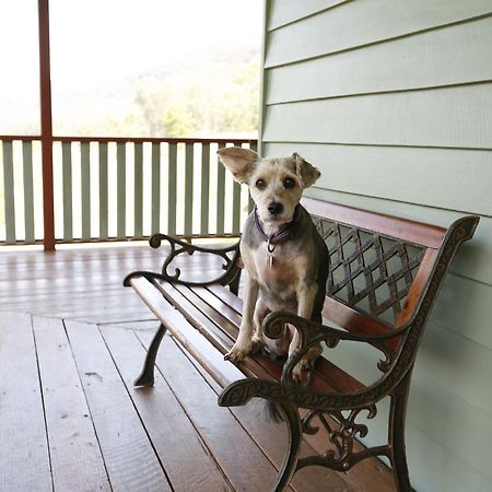 Hotel Singletons Retreat .Pet Friendly Singletons Mill Exterior foto